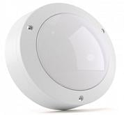   Circus Pro 10 4000 IP65  